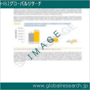 グローバルリサーチ調査レポートのイメージ